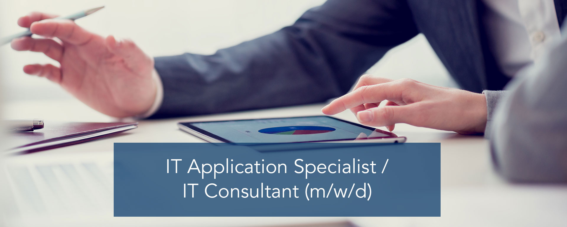 IT Application Specialist / IT Consultant (m/w/d)
